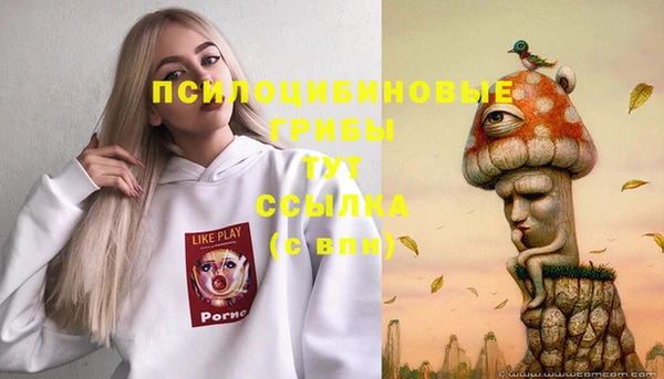 твердый Магадан