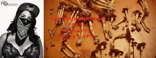 твердый Магадан