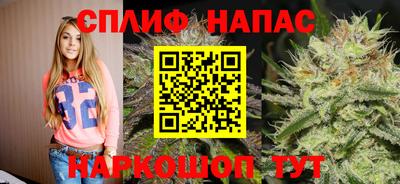 стафф Абинск