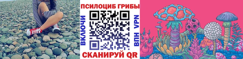 Псилоцибиновые грибы MAGIC MUSHROOMS  дарнет шоп  Александров 