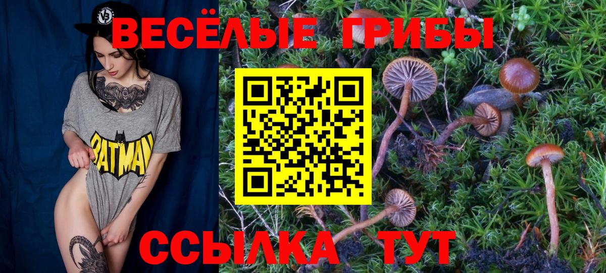 Псилоцибиновые грибы MAGIC MUSHROOMS  Галлюциногенные грибы GOLDEN TEACHER  Александров 