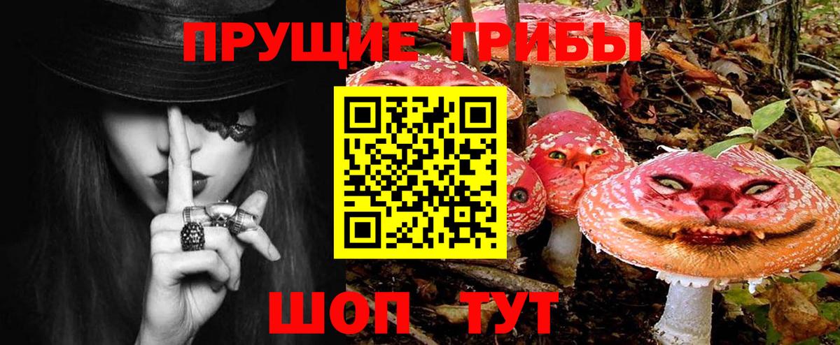 Псилоцибиновые грибы Psilocybe  Вход с VPN  купить   Александров 