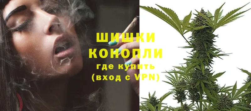 Марихуана сатива  блэк спрут ссылка  Александров 