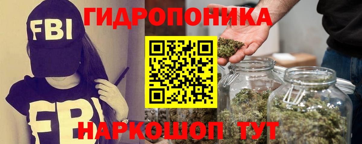 Шишки марихуана семена  Бошки Шишки сатива  Вход с VPN  Шишки марихуана планчик  Александров 